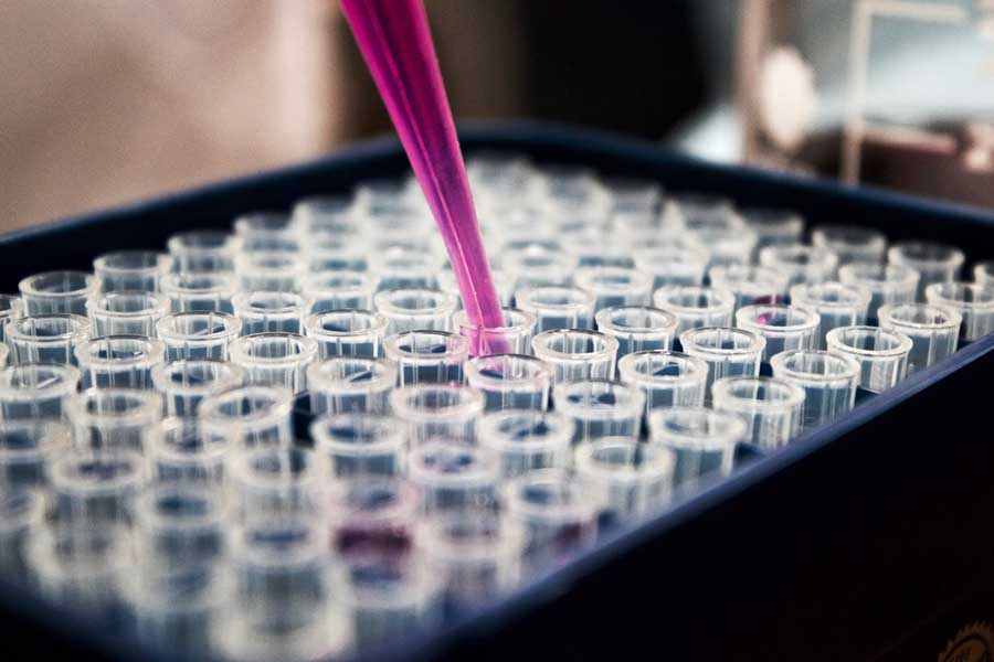 A research environmet